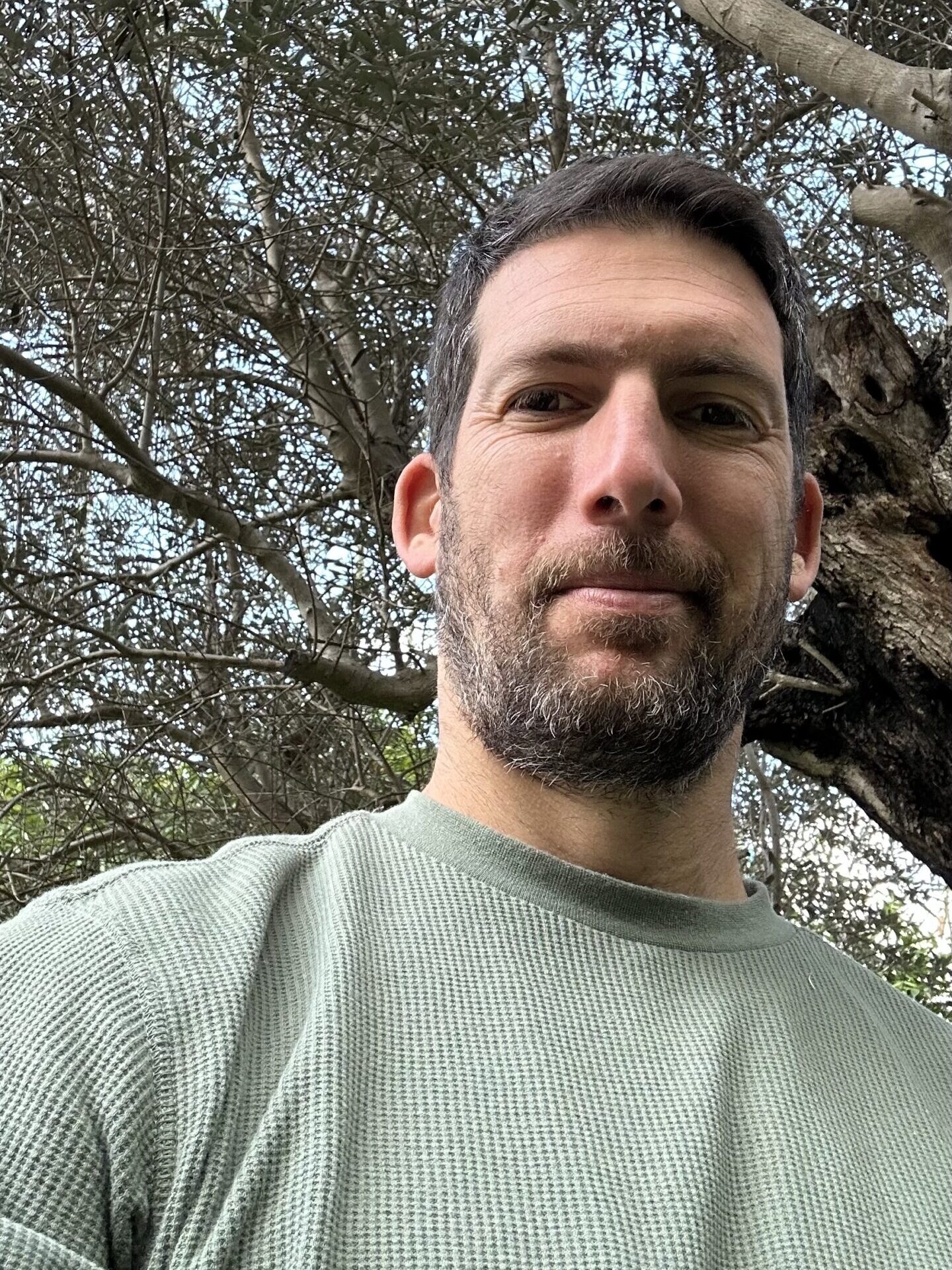 יפתח בן אילן